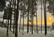 Treehotel inLulea