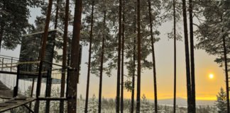 Treehotel inLulea