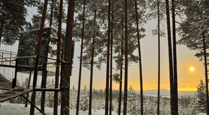 Treehotel inLulea