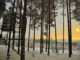 Treehotel inLulea