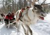 Lapland Hotels Rebranded Kaivohuone