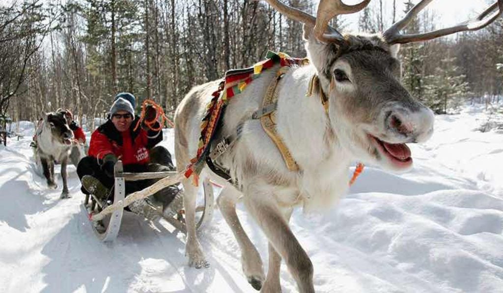 Lapland Hotels Rebranded Kaivohuone