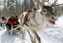 Lapland Hotels Rebranded Kaivohuone