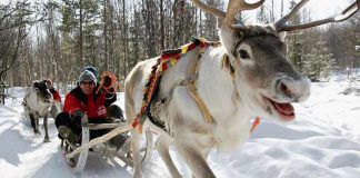 Lapland Hotels Rebranded Kaivohuone