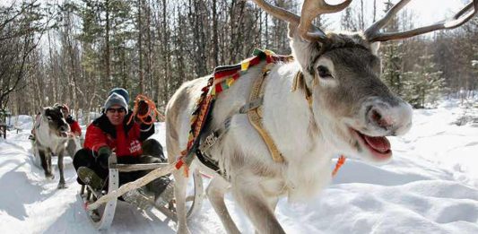 Lapland Hotels Rebranded Kaivohuone