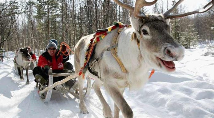 LAPLAND HOTELS: REBRANDED KAIVOHUONE Lapland Hotels Rebranded Kaivohuone