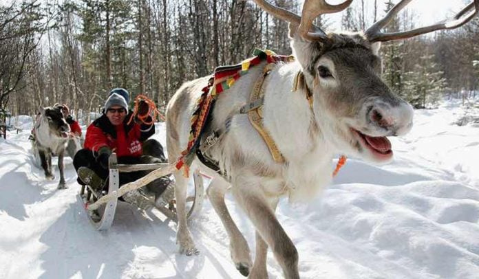 Lapland Hotels Rebranded Kaivohuone