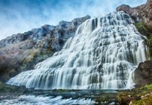 Iceland Westfjords top five