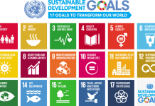 Nordic CEOs join forces for a sustainable future UN Sustainable Development Goals