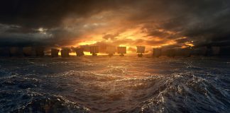 Viking and their gambling habits