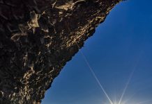 Black Sand Beach in South Iceland
