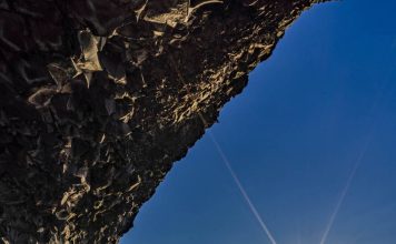 Black Sand Beach in South Iceland